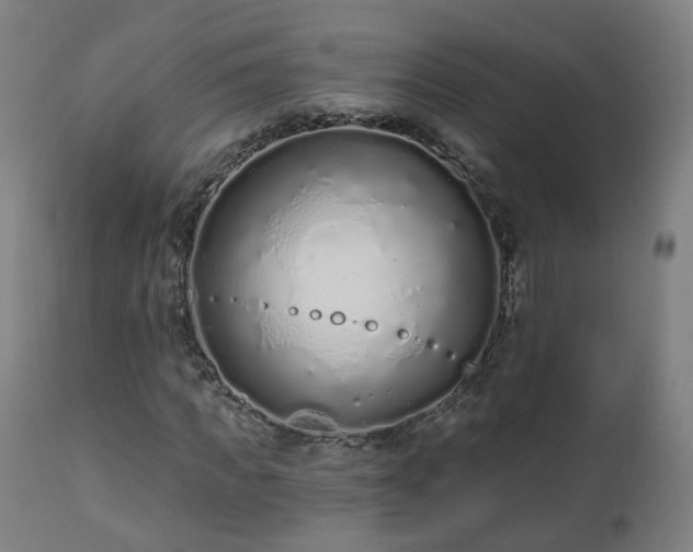 X0000112520917200908241440