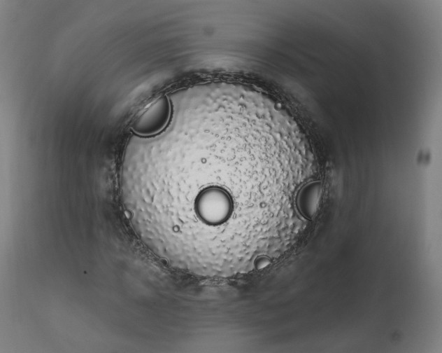 X0000112520918200908241440