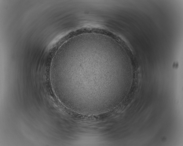 X0000112520919200908241440