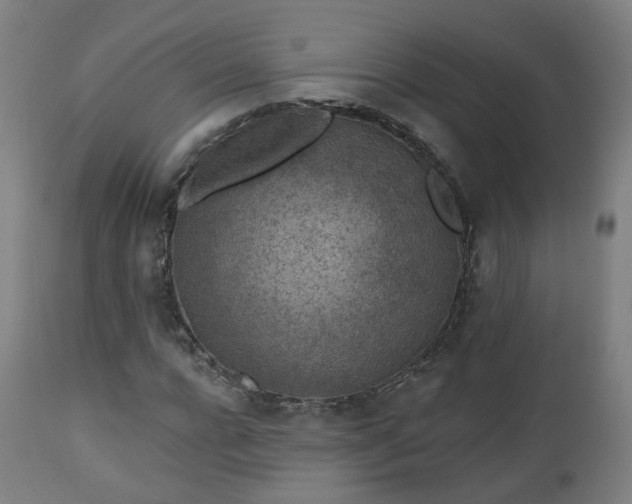 X0000112520920200908241440