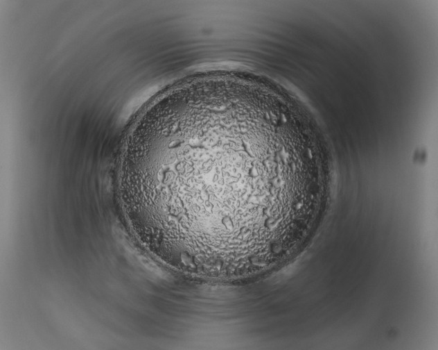 X0000112520921200908241441