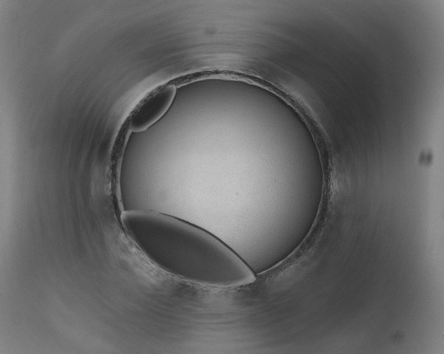 X0000112520924200908241441