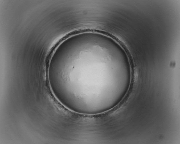 X0000112520925200908241441