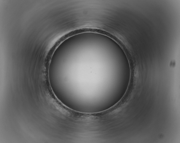 X0000112520926200908241441