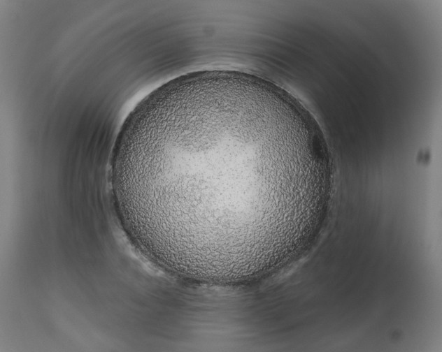 X0000112520928200908241441