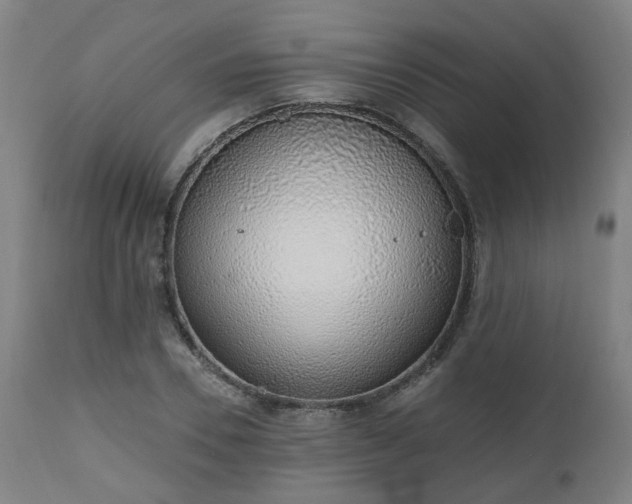 X0000112520930200908241441