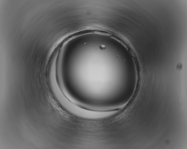 X0000112520931200908241441