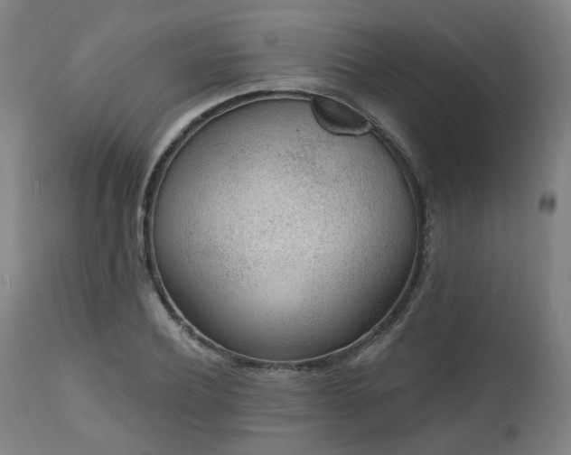 X0000112520932200908241441