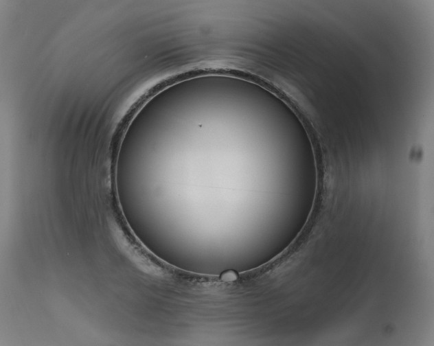 X0000112520934200908241441
