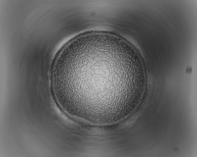 X0000112520935200908241441
