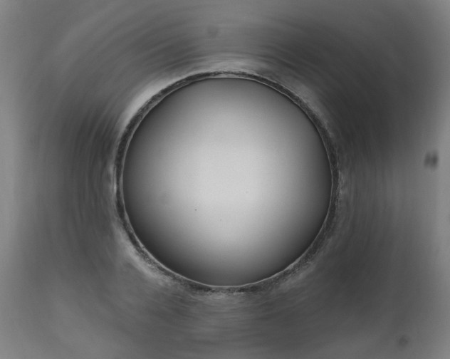 X0000112520936200908241441