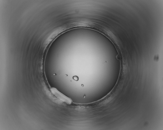 X0000112520938200908241441