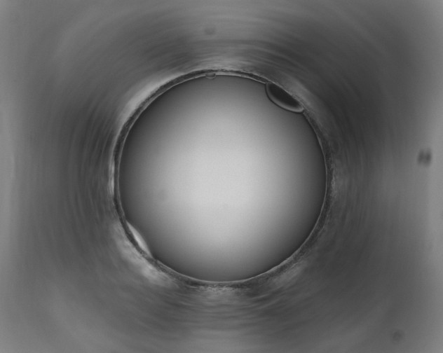 X0000112520940200908241441