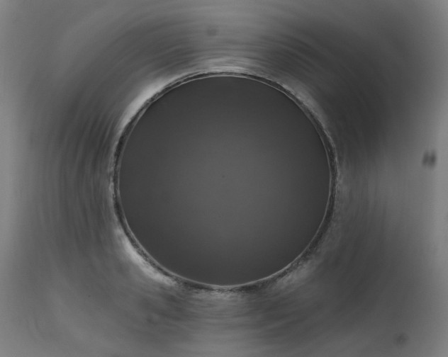 X0000112520941200908241441
