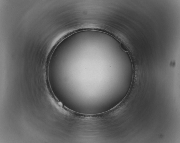 X0000112520942200908241441