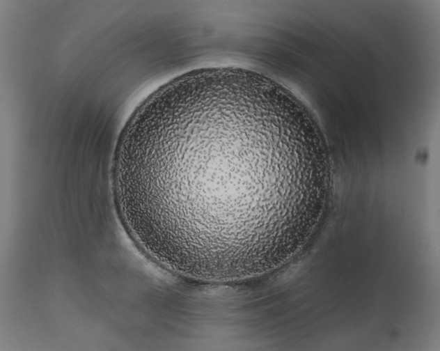 X0000112520943200908241441
