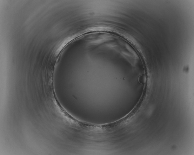 X0000112520945200908241441