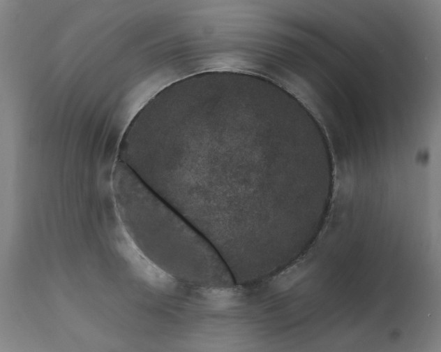 X0000112520946200908241441