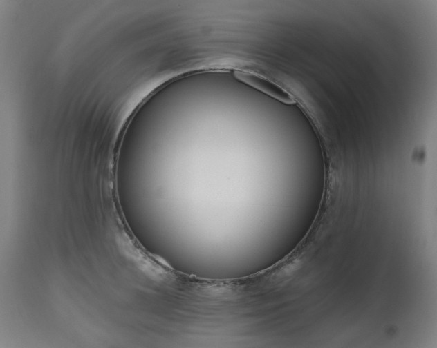 X0000112520948200908241441