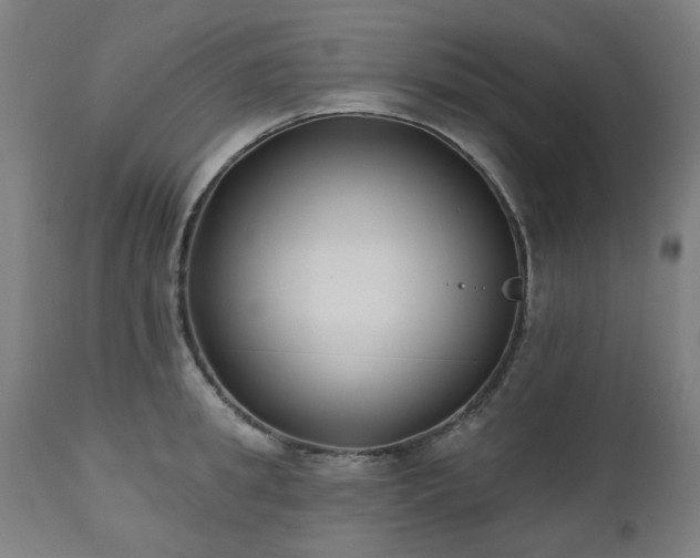 X0000112520949200908241441
