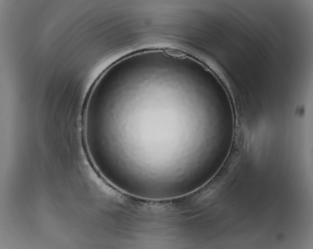 X0000112520951200908241441