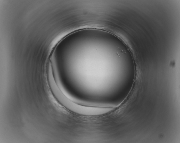 X0000112520952200908241441