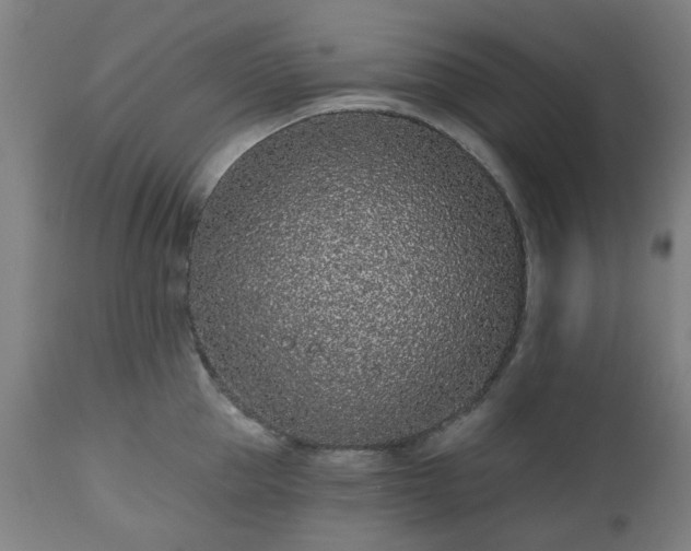 X0000112520953200908241441