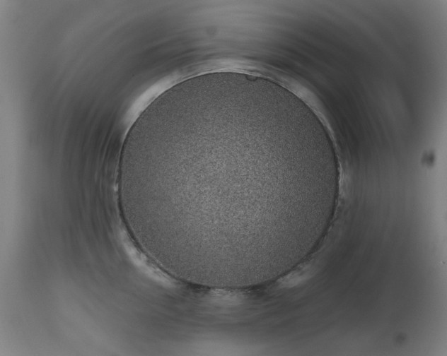X0000112520954200908241441