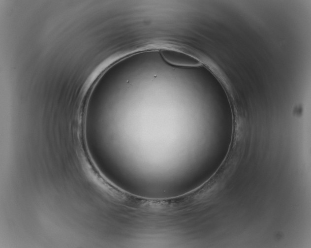 X0000112520955200908241441