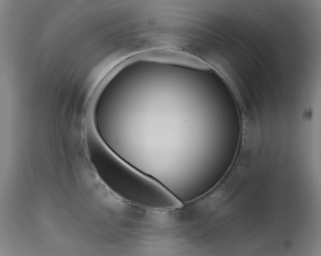 X0000112520956200908241441