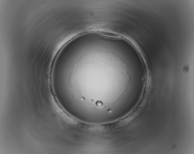 X0000112520957200908241441