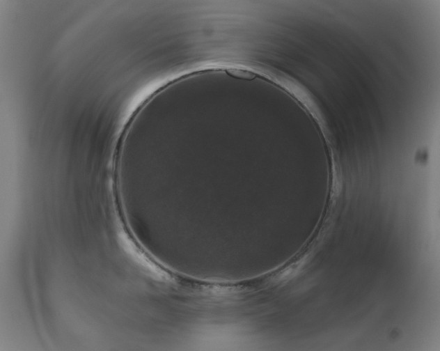 X0000112520958200908241441