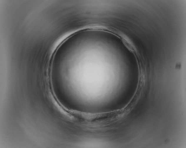 X0000112520959200908241441