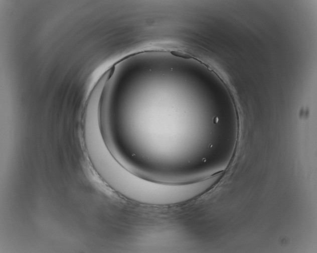 X0000112520960200908241441