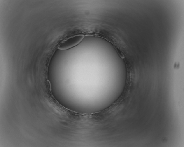 X0000112520961200908241440
