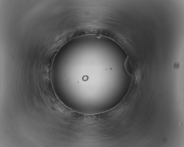 X0000112520964200908241440