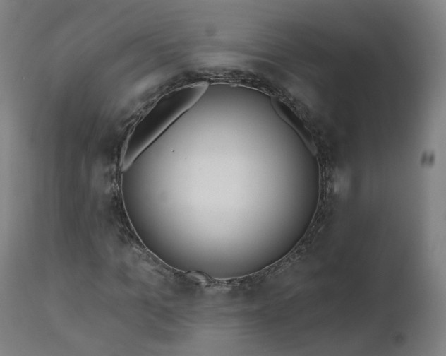 X0000112520965200908241440