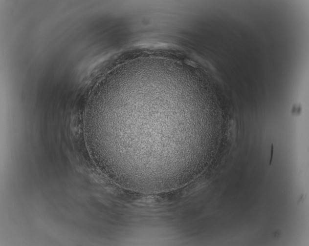 X0000112520966200908241440
