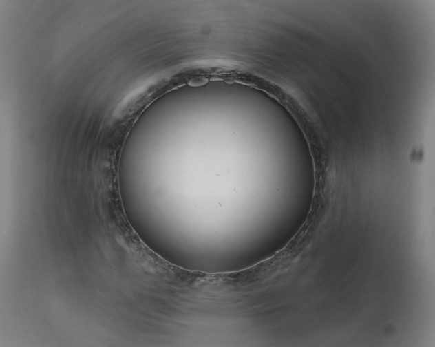 X0000112520967200908241440