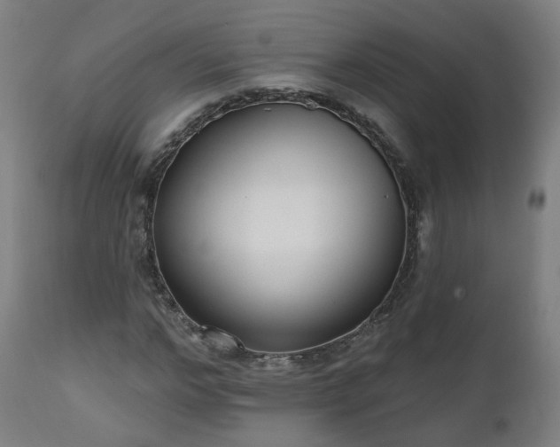 X0000112520968200908241440