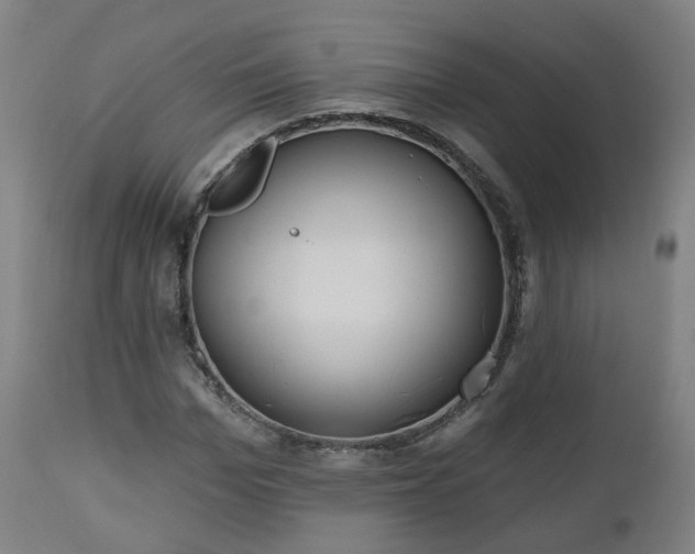 X0000112520969200908241440