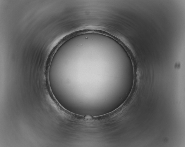 X0000112520972200908241440