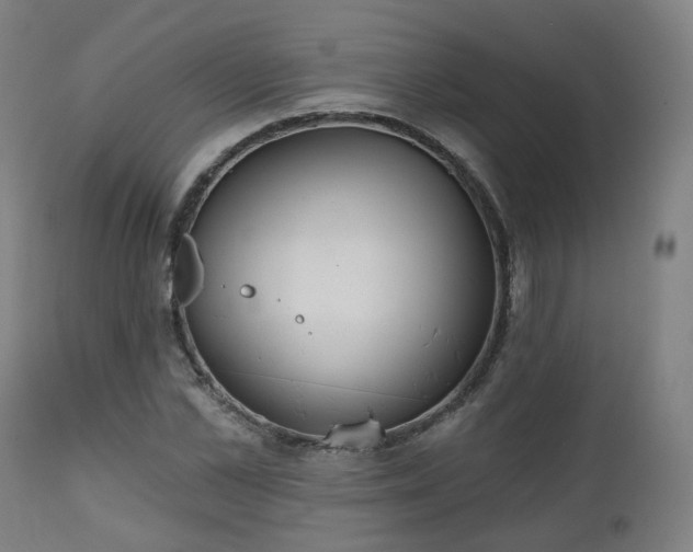 X0000112520973200908241440