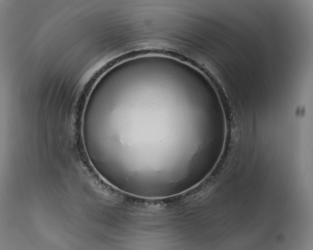 X0000112520975200908241440