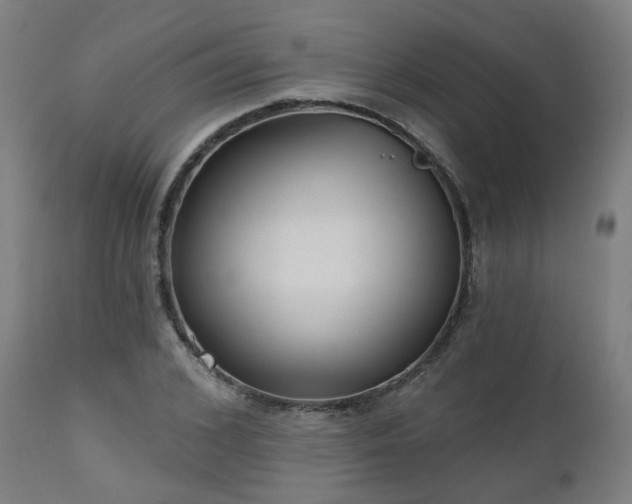 X0000112520976200908241440