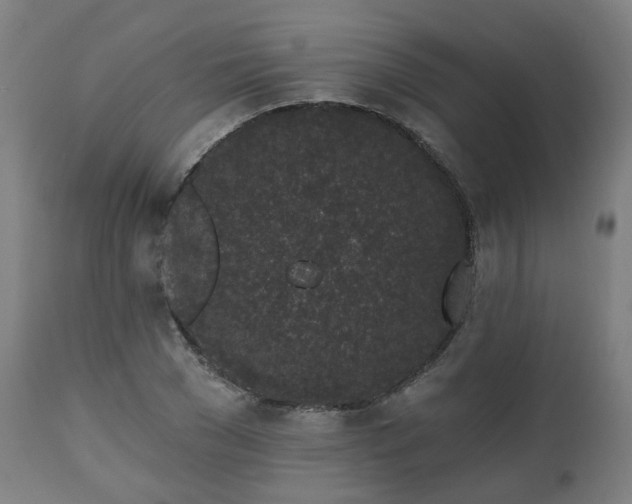 X0000112520977200908241440