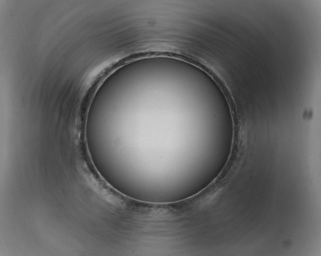 X0000112520979200908241440