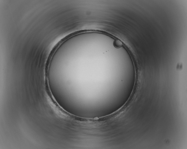 X0000112520980200908241440