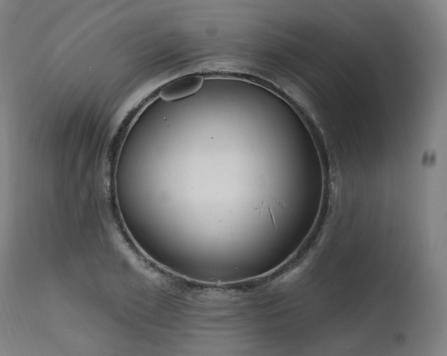 X0000112520981200908241440