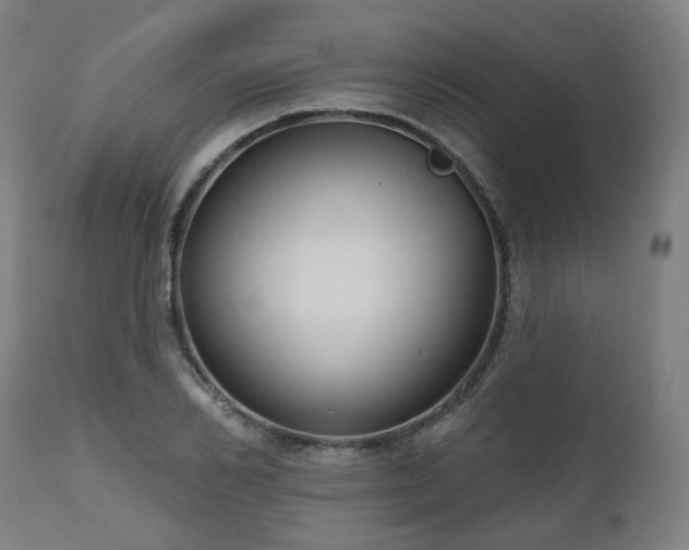 X0000112520982200908241440